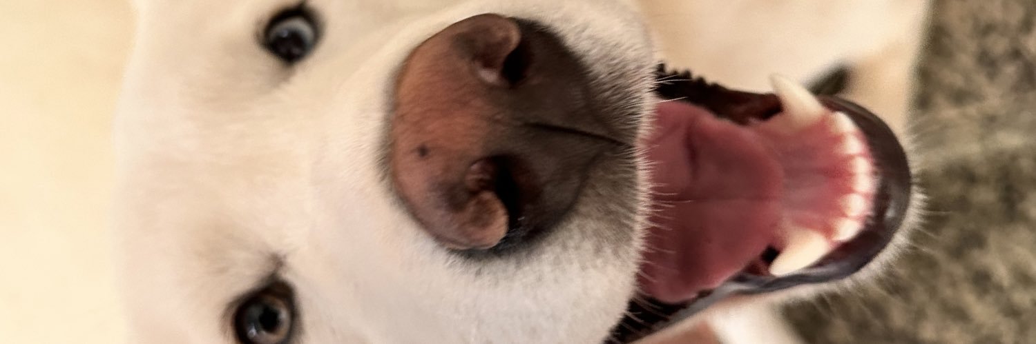 delcioneto_'s profile banner image