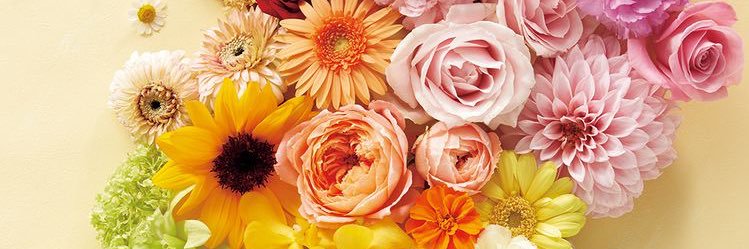 fourclover_ck's profile banner image