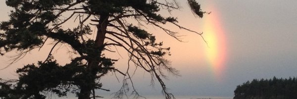 BobLandell Profile Banner