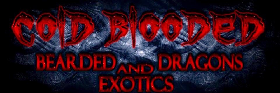 CBBDnE's profile banner image