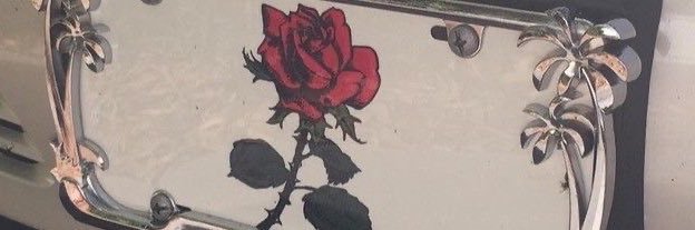 𖠋 banner