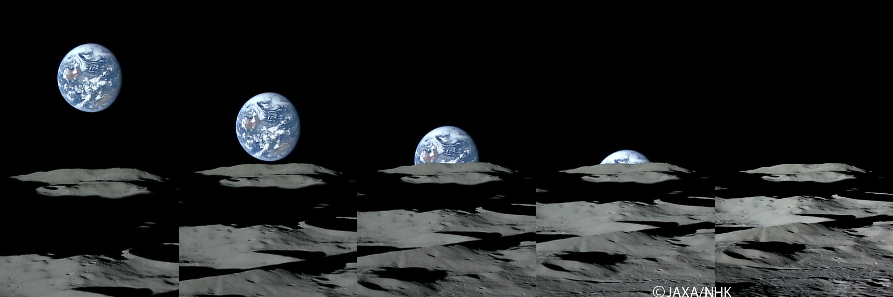 Love Every One banner