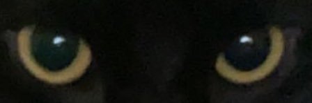 seth_asf's profile banner image