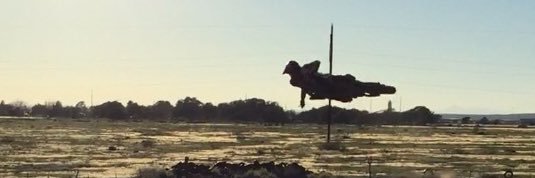 jCeja52's profile banner image