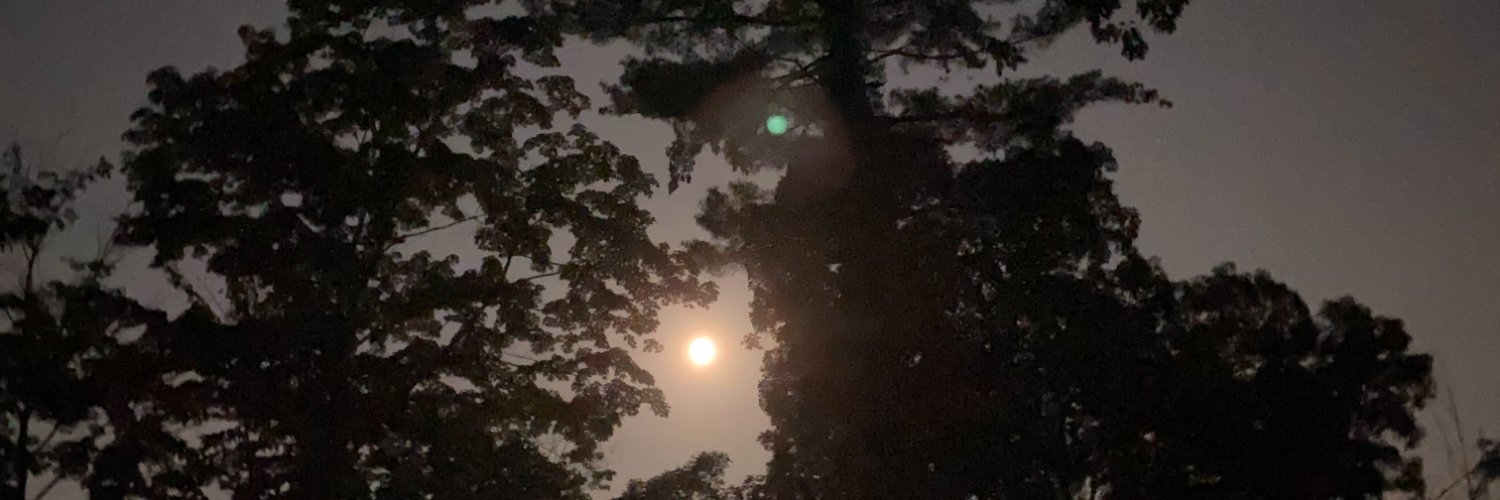 MichaelNeubarth's profile banner image