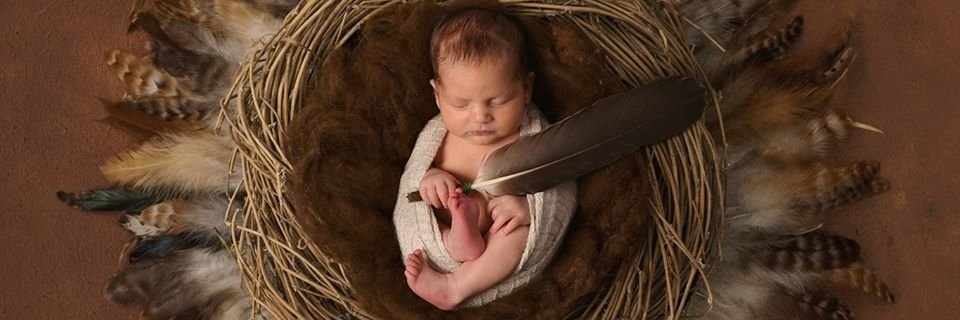 Native Child & Family Services of Toronto banner