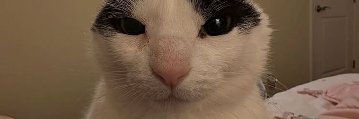 JillSimp69's profile banner image
