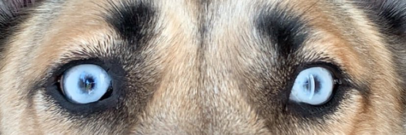 bwhitteee's profile banner image