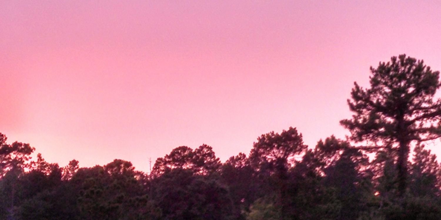 RLovesny's profile banner image