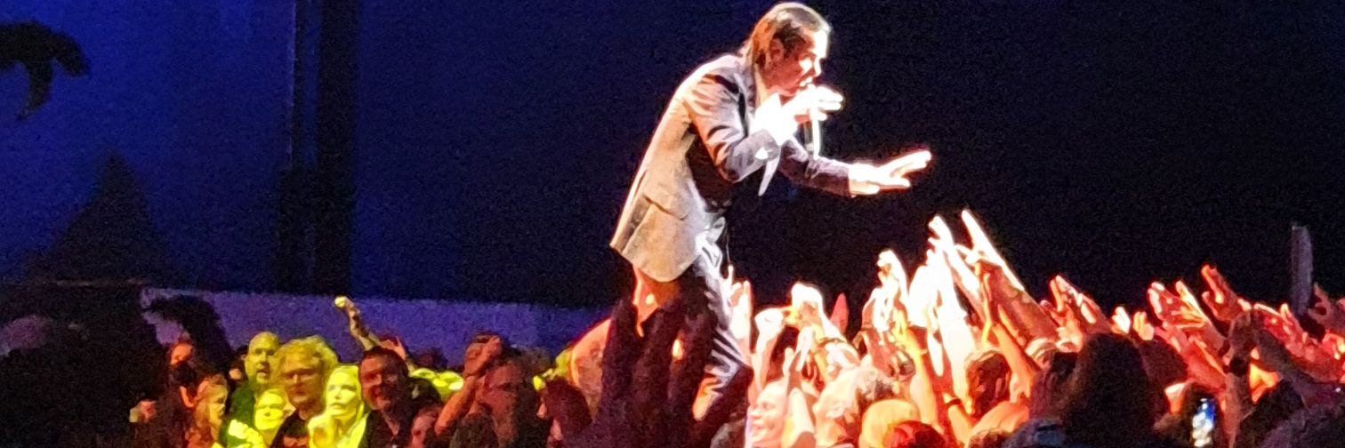 Dr. Emilia Palonen, she/hän 💙💛 banner