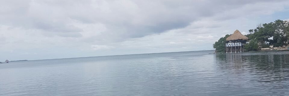 slepeb's profile banner image