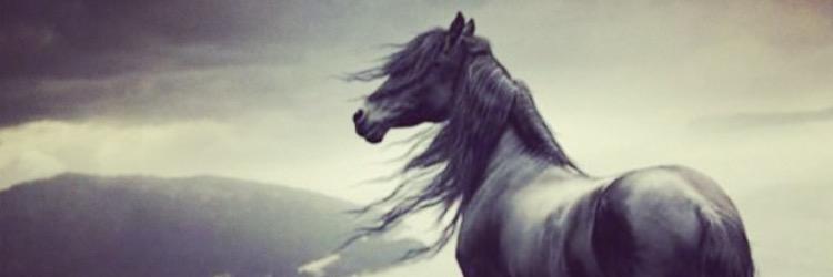 1moh_a's profile banner image