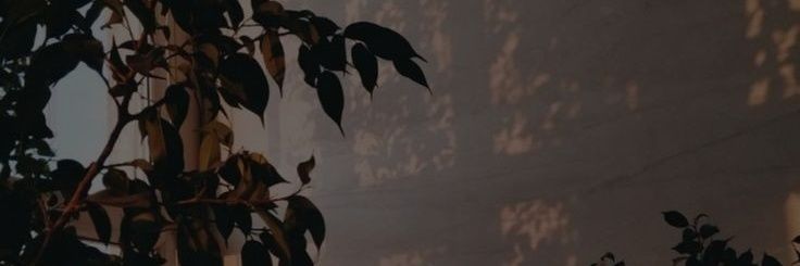AhmedAk366's profile banner image