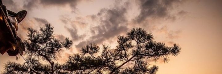 Nunajay's profile banner image