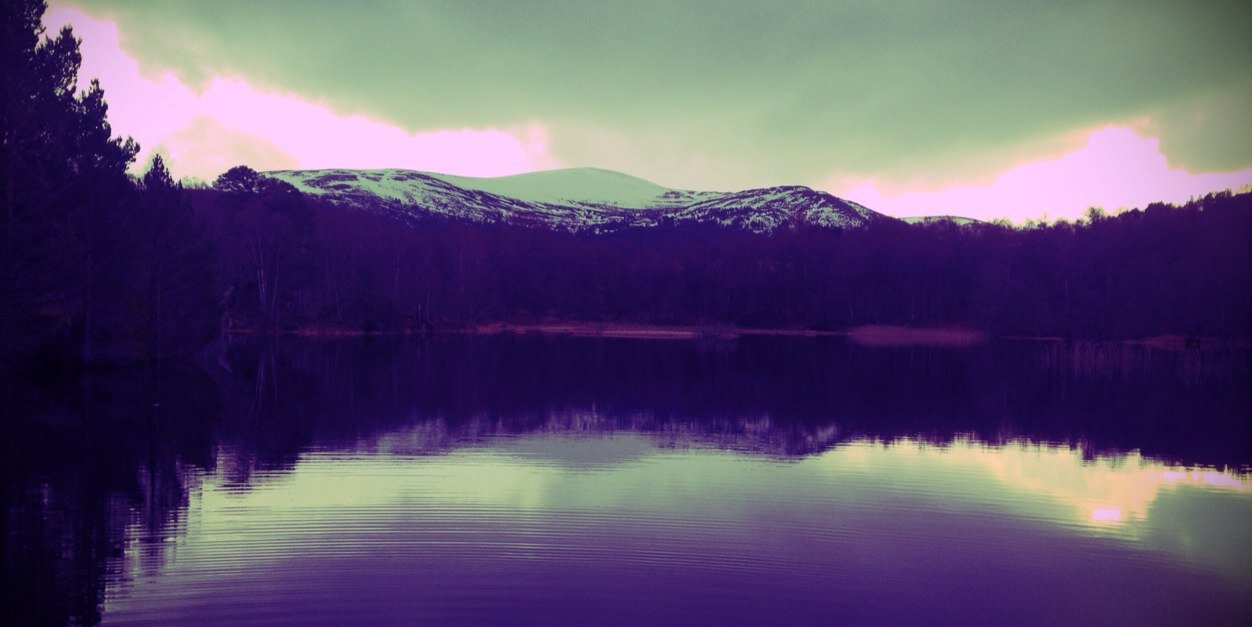 lizewil's profile banner image