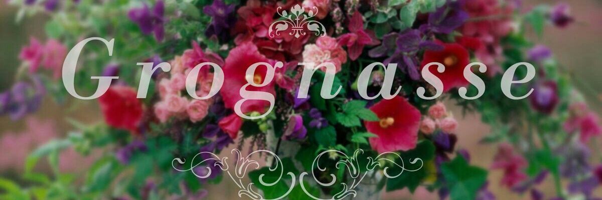 AlinePouh's profile banner image