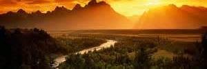 MaxSchultz8's profile banner image