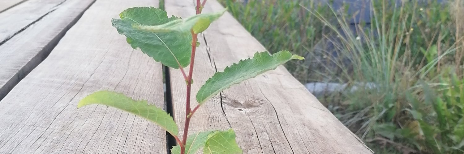 Protence Retorikk banner