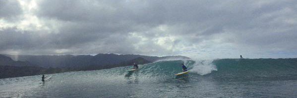 1LimbSurfer's profile banner image