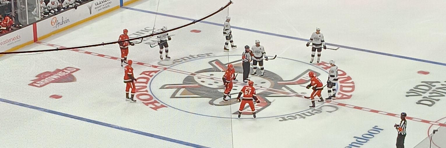 Andrew Beech 𓅪 banner