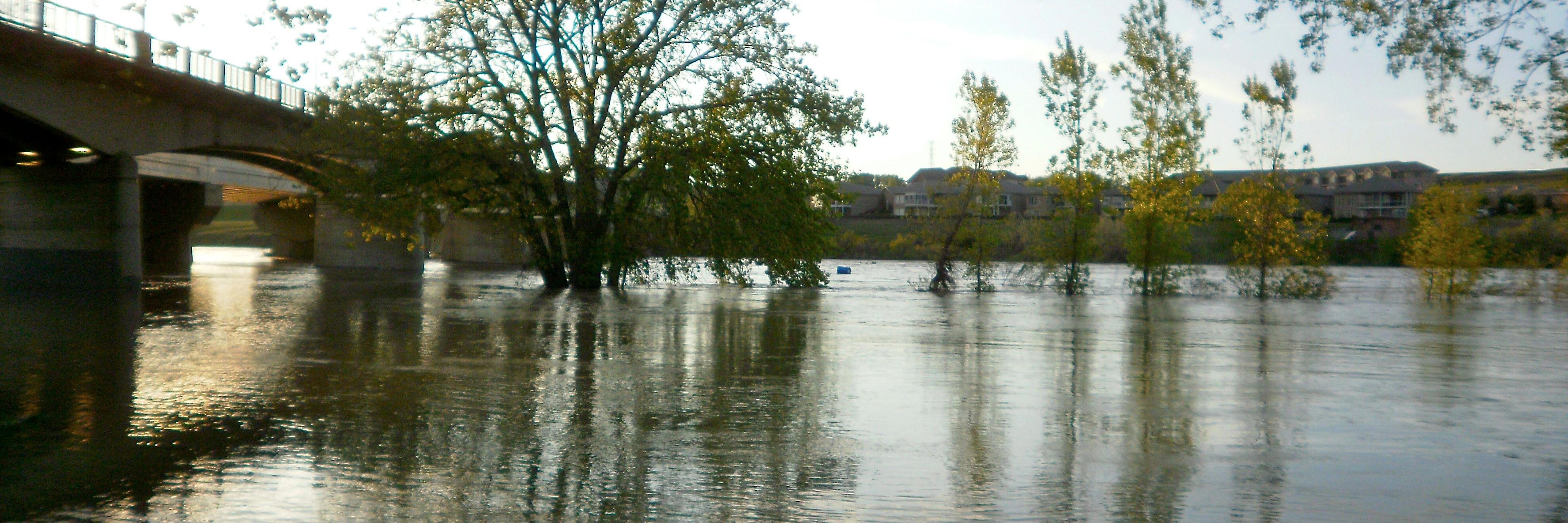 Just Medicine Hat banner