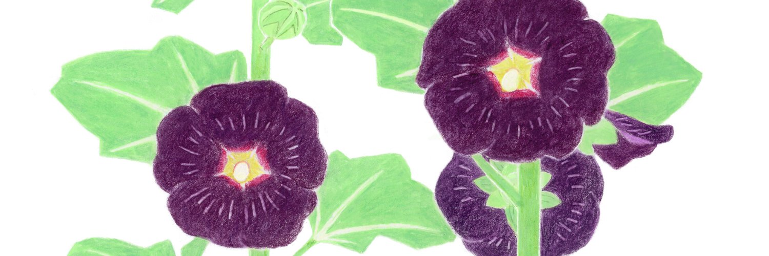 sironopo's profile banner image