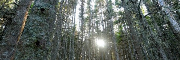 FirestarterIX Profile Banner