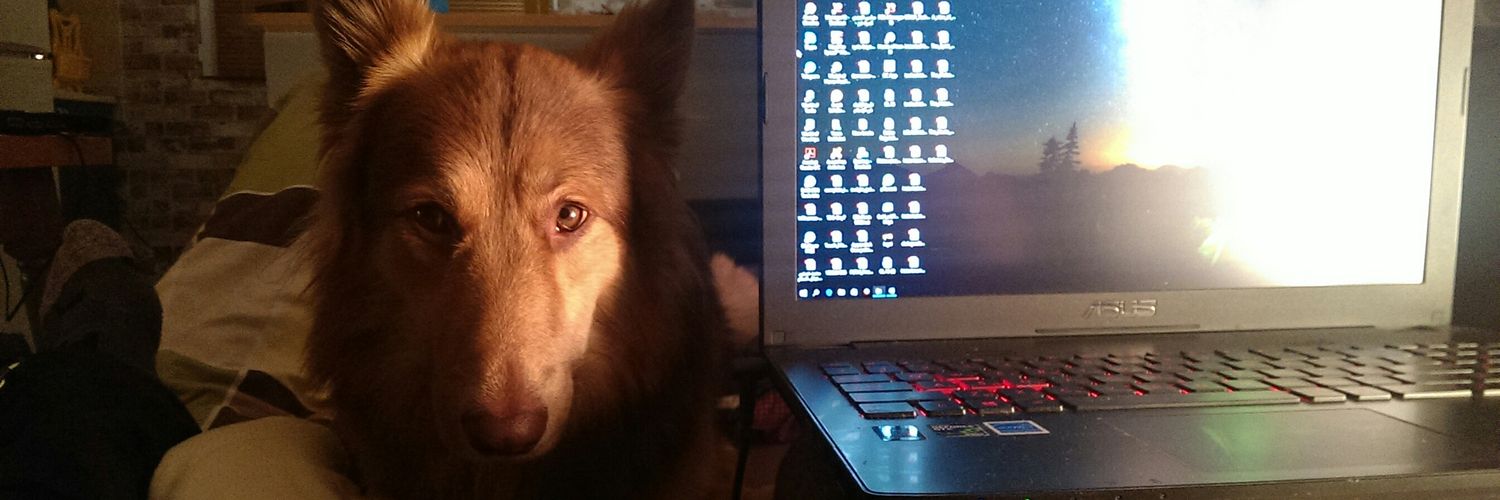 yazangs's profile banner image