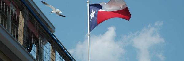 smullintx Profile Banner