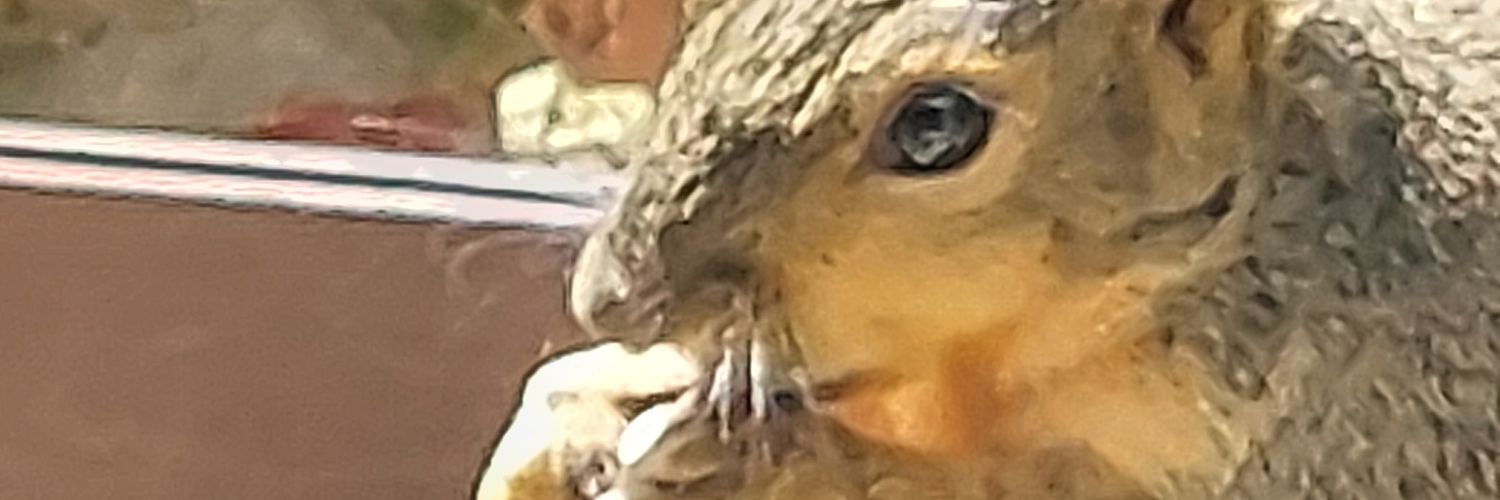 lethermeat's profile banner image
