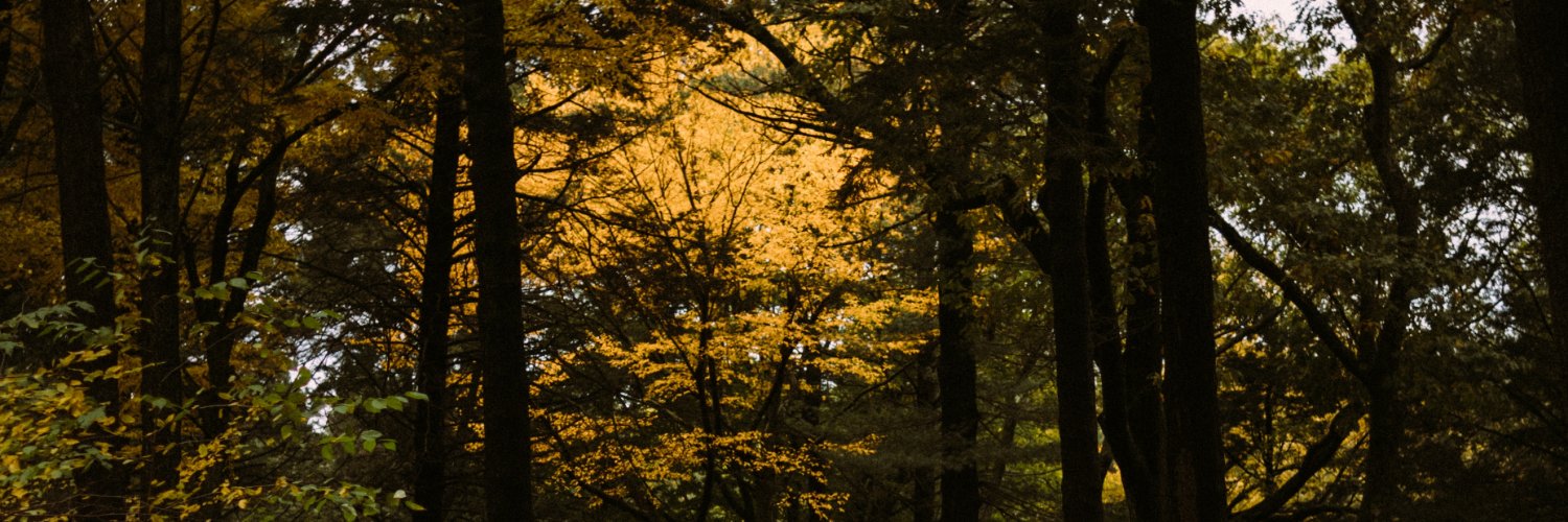 Sarah Hall Gordon banner