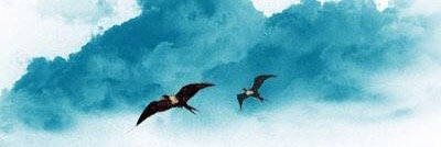 Birdstweet_'s profile banner image