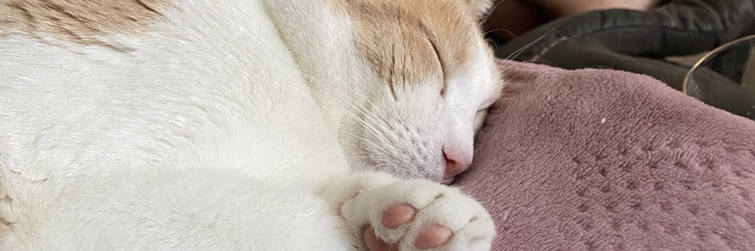 nattompkins_'s profile banner image