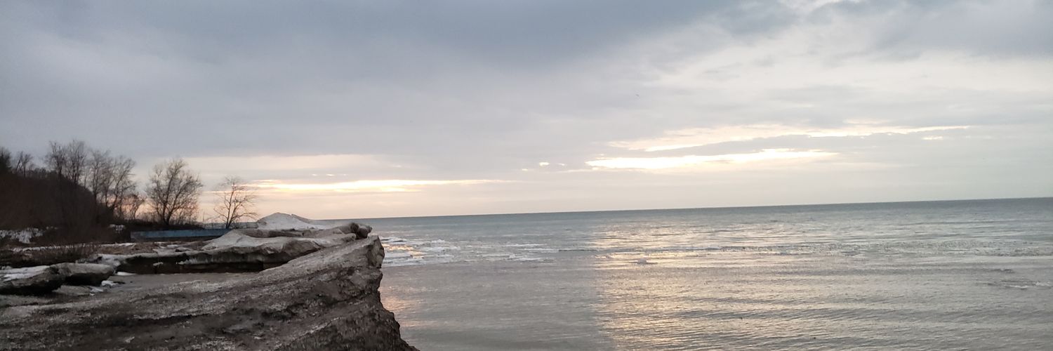 nikointheburgh's profile banner image