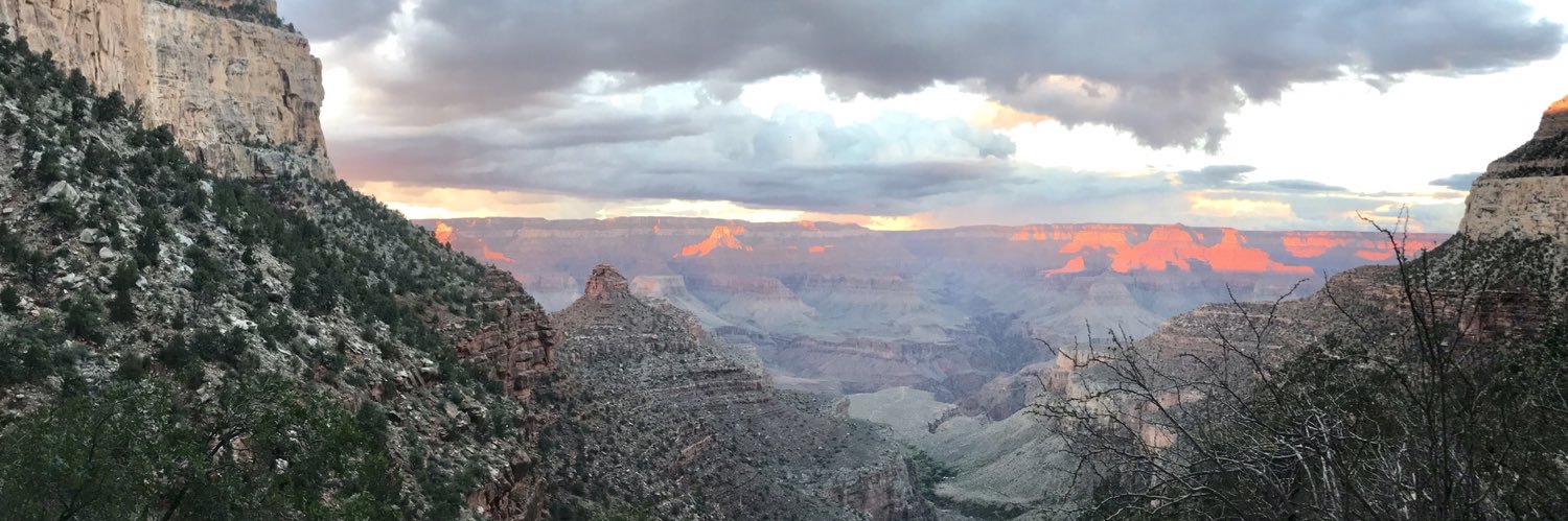 andrea levine banner