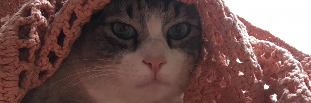 hyde_kush's profile banner image