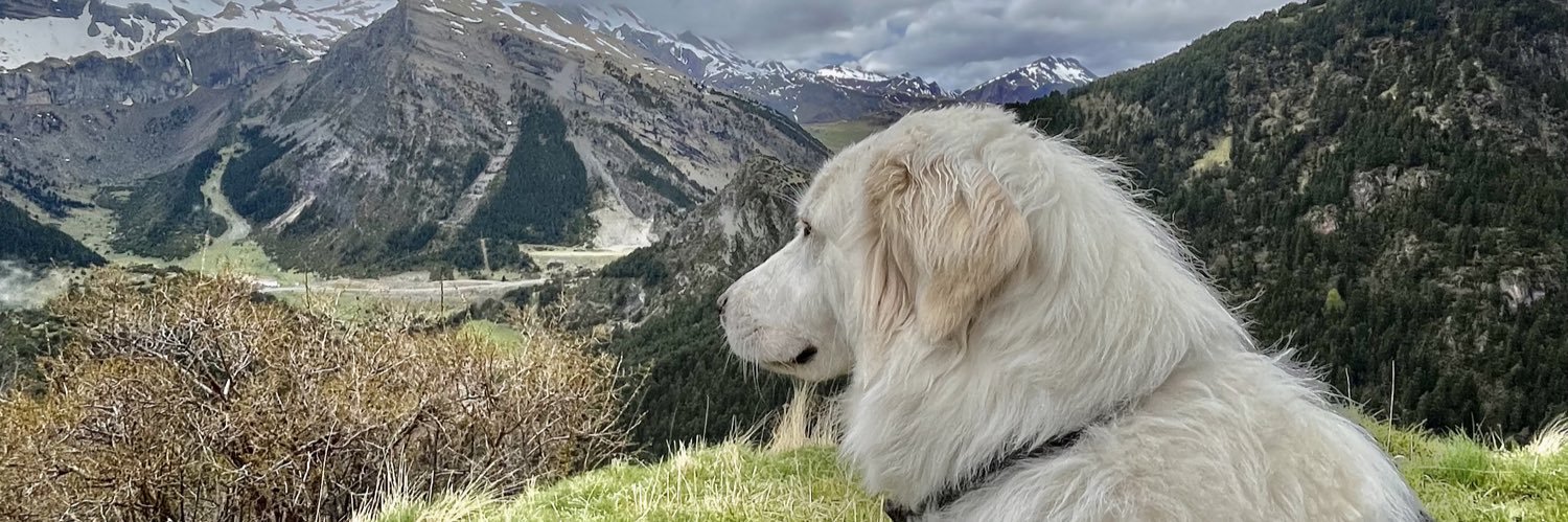 julesRevDu's profile banner image
