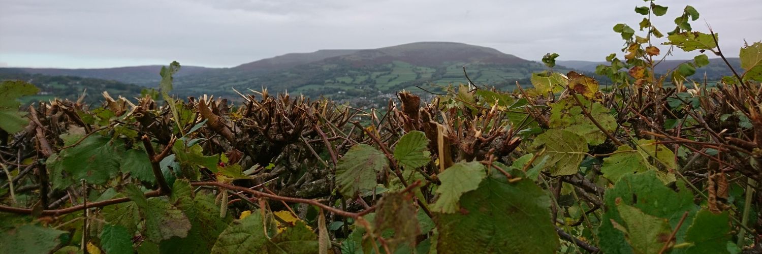 CatherineEvansTeach banner