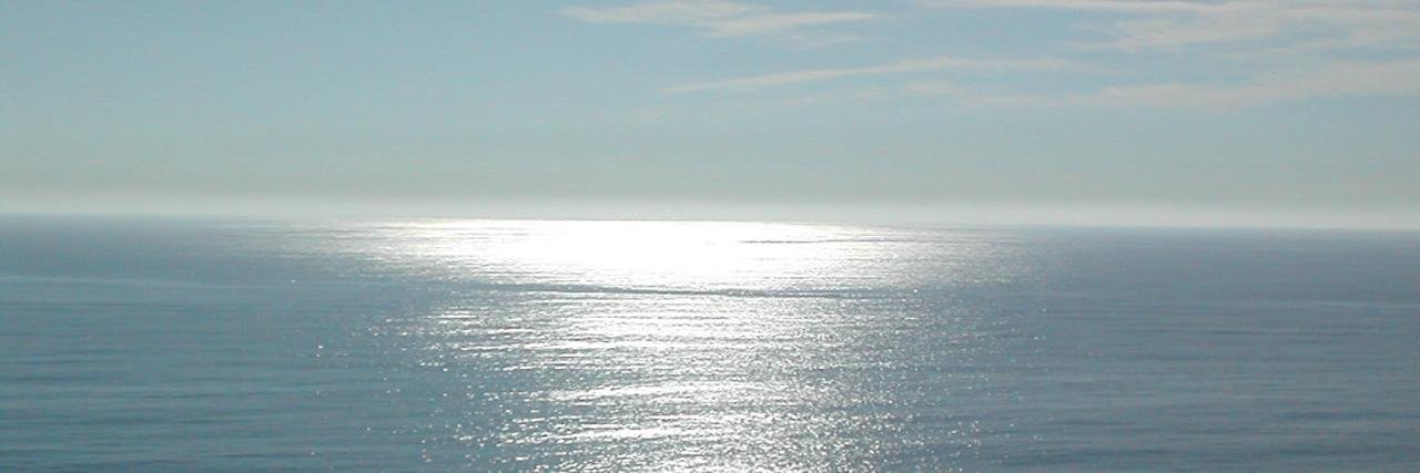 patrickmhaley's profile banner image