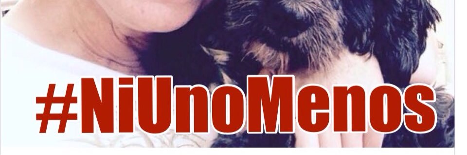 LeyAnimal's profile banner image