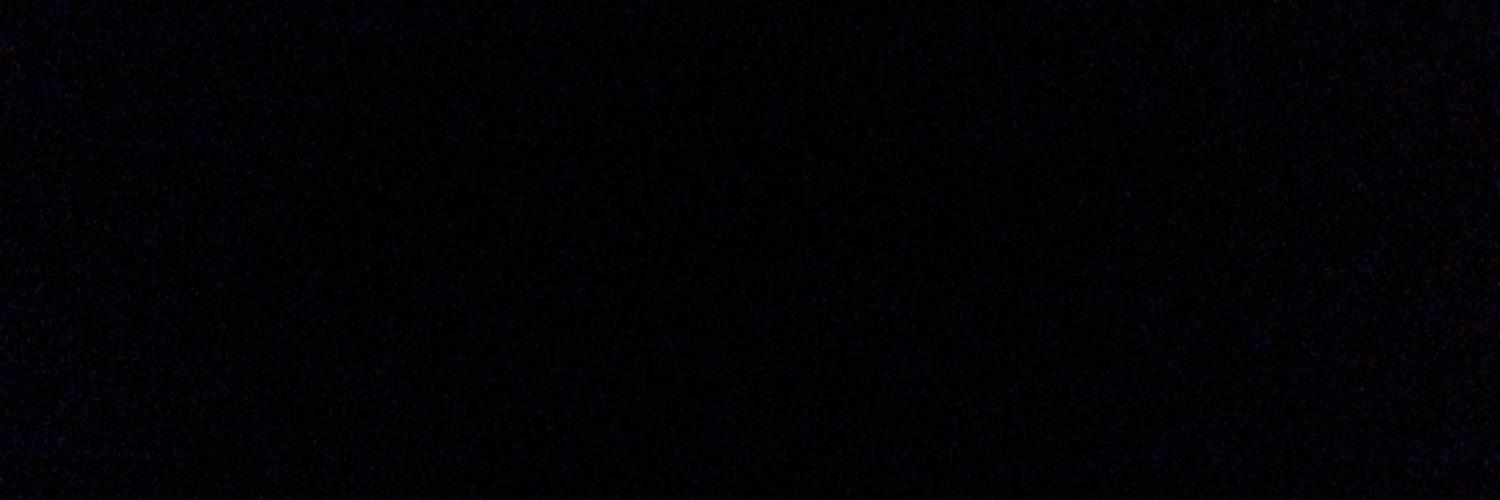 pickleobail's profile banner image