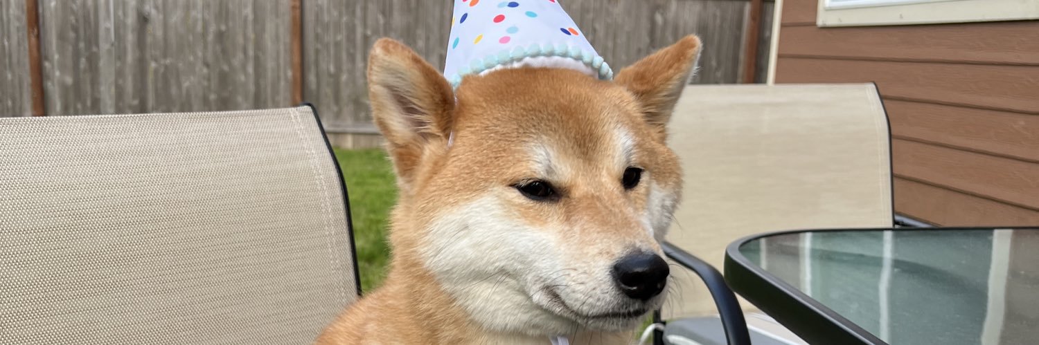 geeebroo's profile banner image
