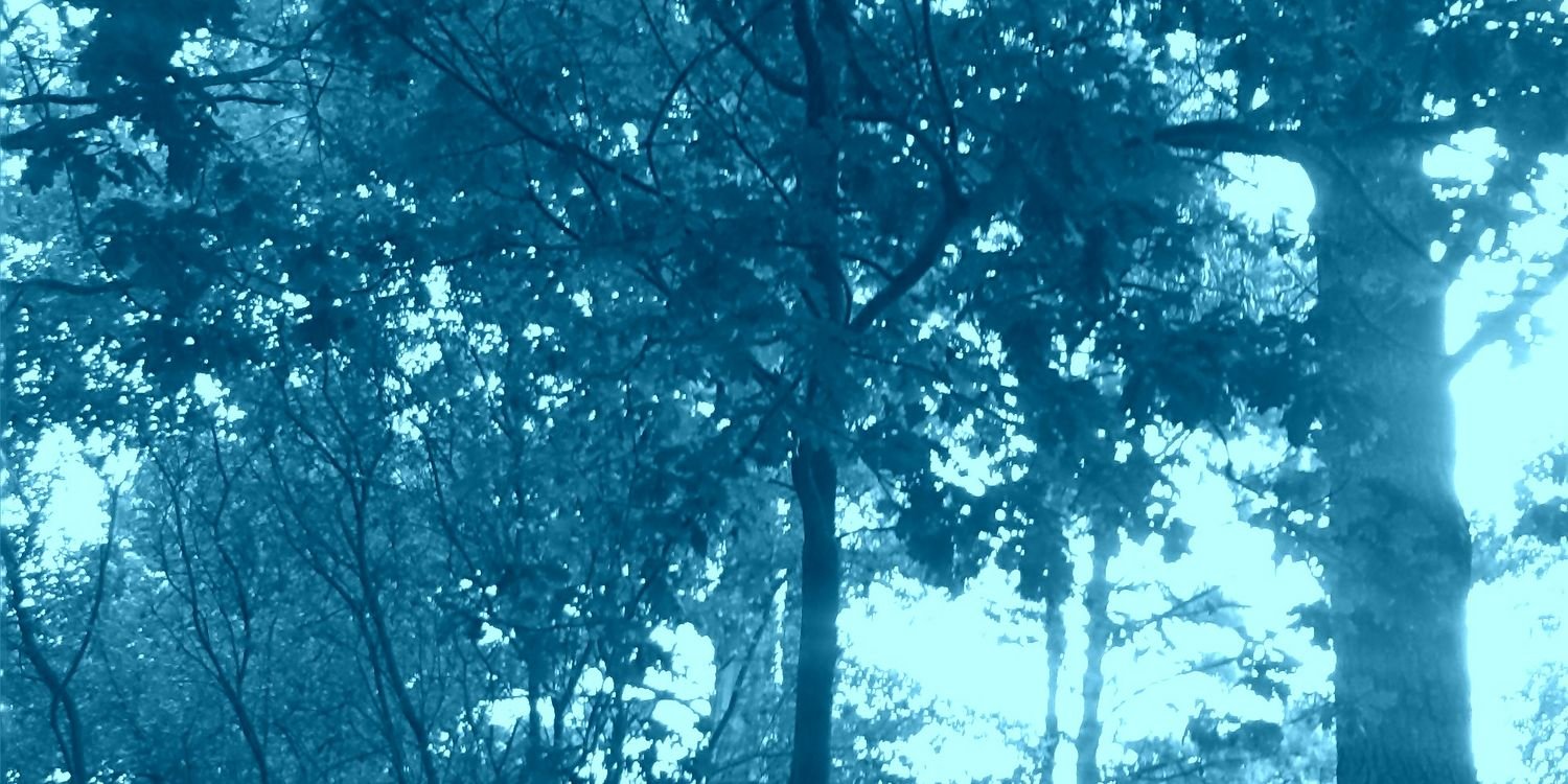 Juan Carlos Vazquez banner