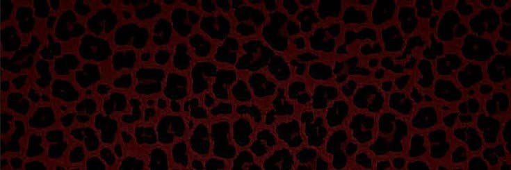 _estevaoiza's profile banner image
