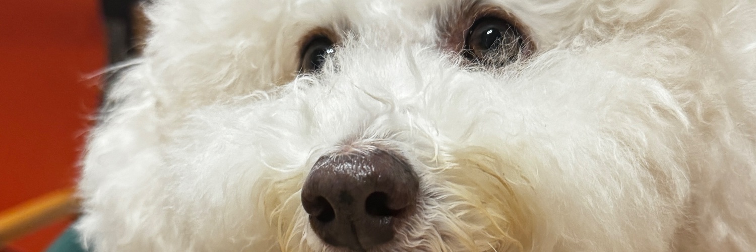 eekemm's profile banner image