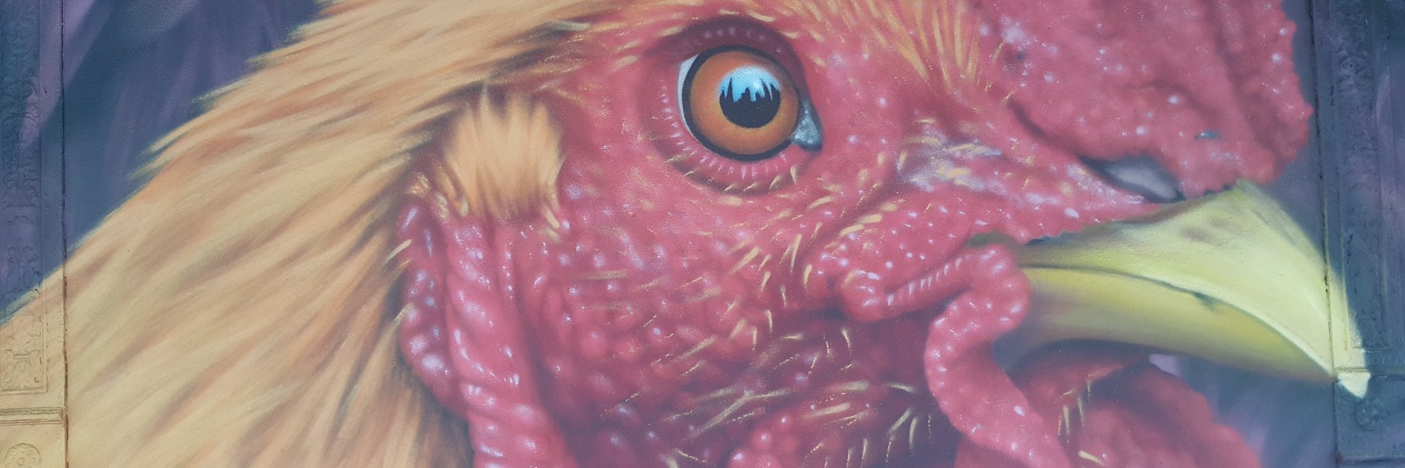 asiddom's profile banner image