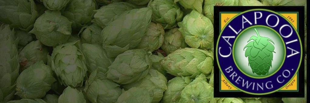 Calapooia Brewing banner