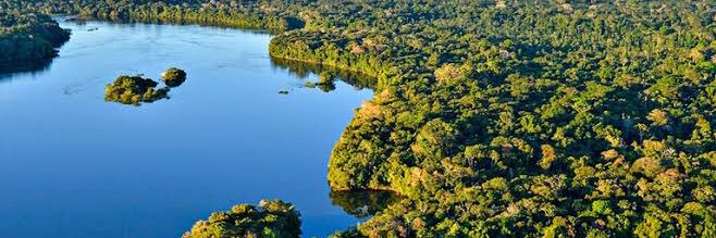 Pedro Mariano banner