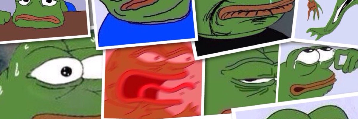 thefrogmeme's profile banner image