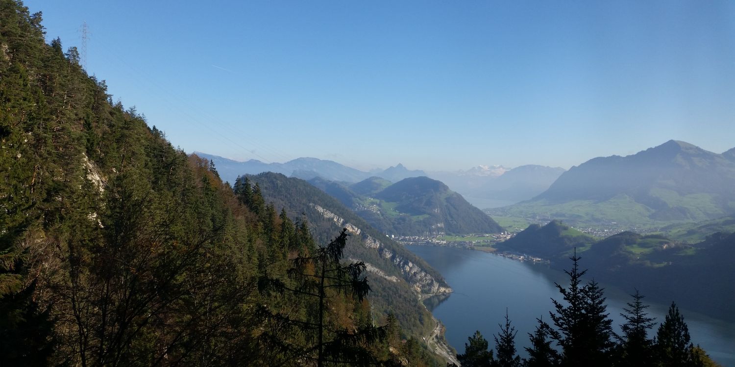 maike_mue's profile banner image